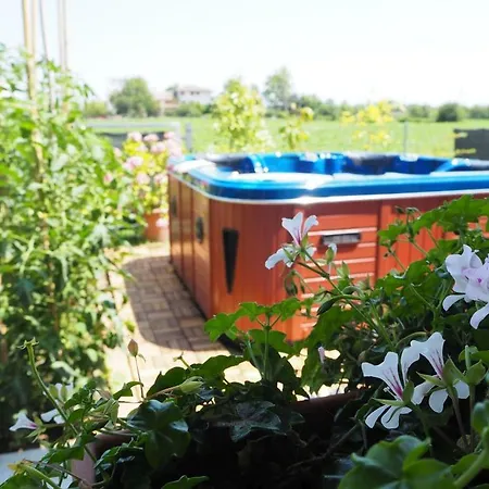 לינה וארוחת בוקר Mum's ויצ'נצה